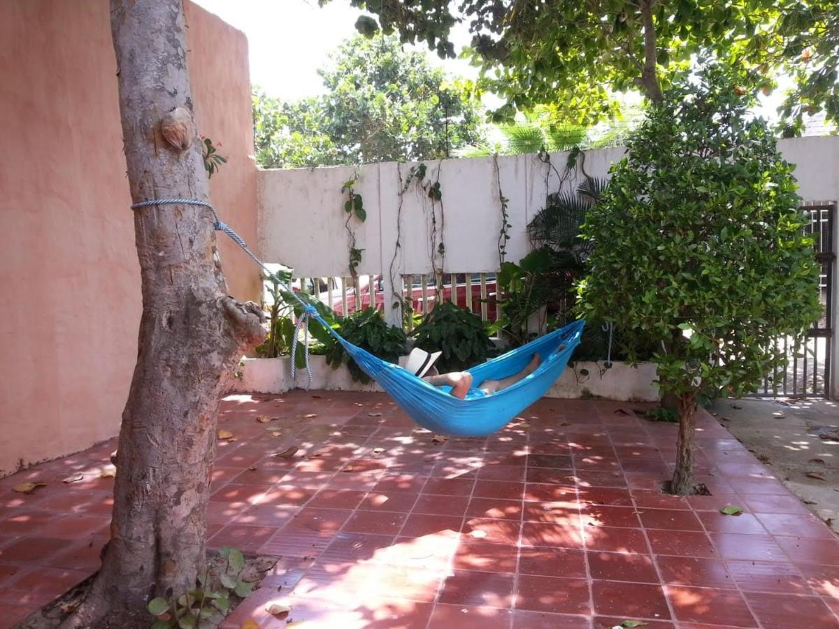 7pn-1a House With Direct Sea Access Holiday home